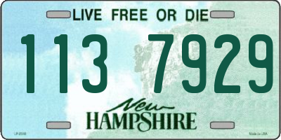 NH license plate 1137929