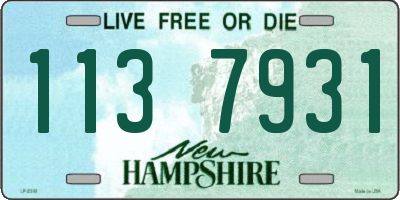 NH license plate 1137931