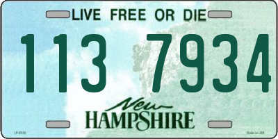 NH license plate 1137934