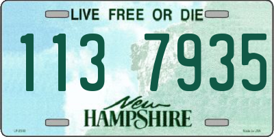 NH license plate 1137935