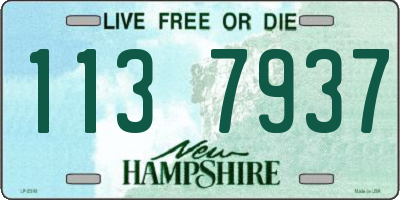 NH license plate 1137937
