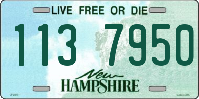 NH license plate 1137950