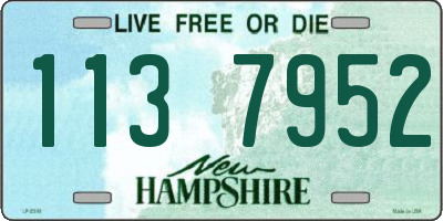 NH license plate 1137952