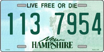 NH license plate 1137954