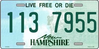 NH license plate 1137955
