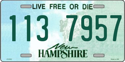 NH license plate 1137957