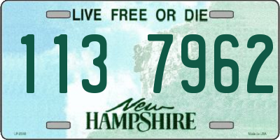 NH license plate 1137962
