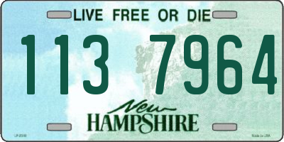 NH license plate 1137964