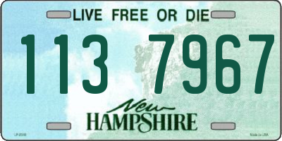NH license plate 1137967