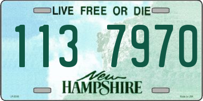 NH license plate 1137970
