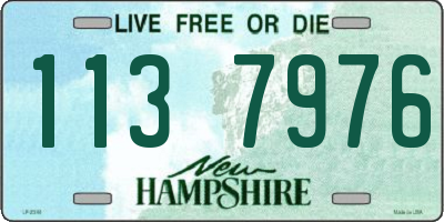 NH license plate 1137976