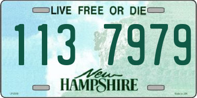 NH license plate 1137979