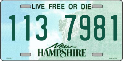 NH license plate 1137981