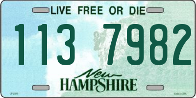 NH license plate 1137982