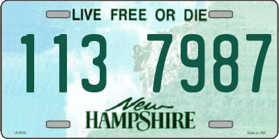 NH license plate 1137987
