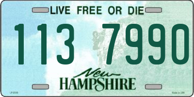 NH license plate 1137990