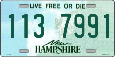 NH license plate 1137991