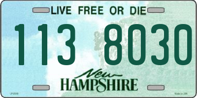 NH license plate 1138030