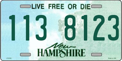 NH license plate 1138123