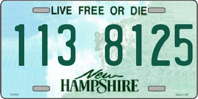 NH license plate 1138125