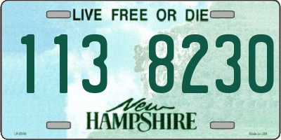 NH license plate 1138230