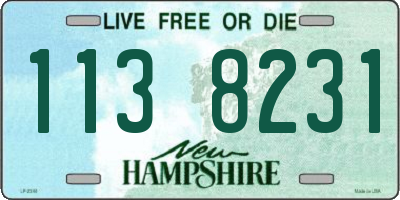 NH license plate 1138231