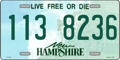 NH license plate 1138236