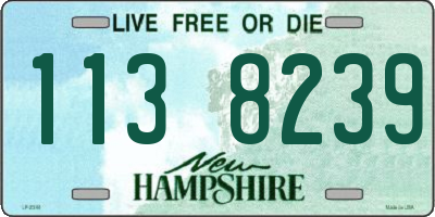 NH license plate 1138239