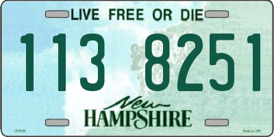 NH license plate 1138251