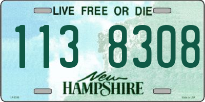 NH license plate 1138308