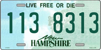 NH license plate 1138313