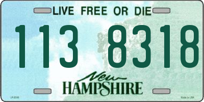 NH license plate 1138318