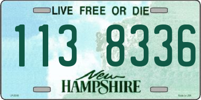 NH license plate 1138336