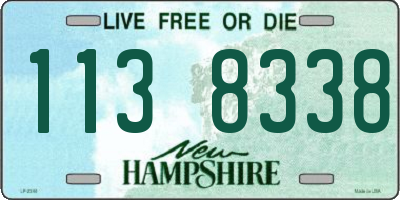 NH license plate 1138338