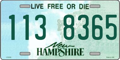 NH license plate 1138365