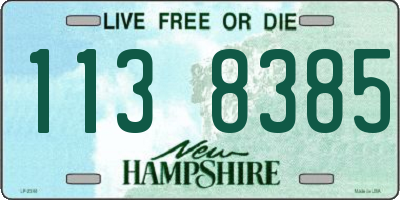 NH license plate 1138385