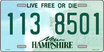 NH license plate 1138501