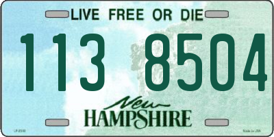 NH license plate 1138504