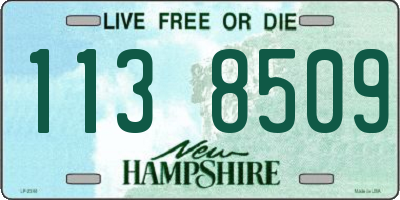 NH license plate 1138509