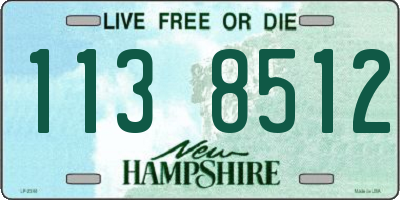 NH license plate 1138512