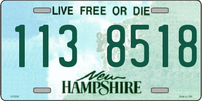 NH license plate 1138518