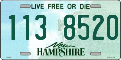 NH license plate 1138520