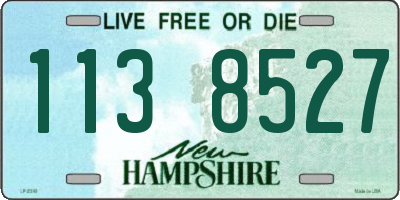 NH license plate 1138527