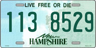 NH license plate 1138529