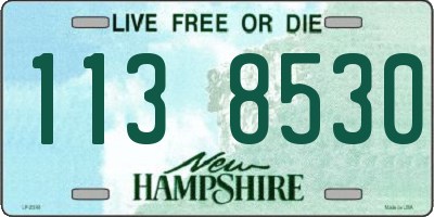 NH license plate 1138530