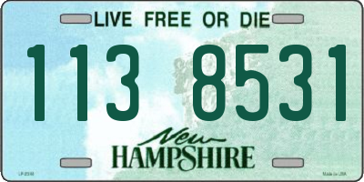NH license plate 1138531