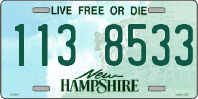 NH license plate 1138533