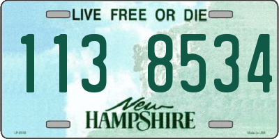 NH license plate 1138534