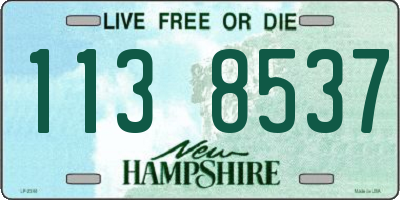 NH license plate 1138537
