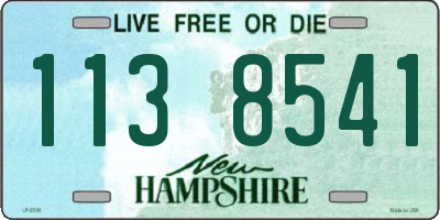 NH license plate 1138541